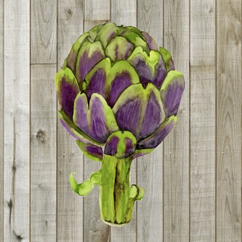 Watercolor Veggies Collection E