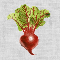 Watercolor Veggies Collection F