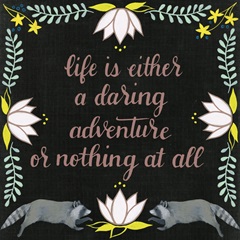 Wild Adventure Collection A