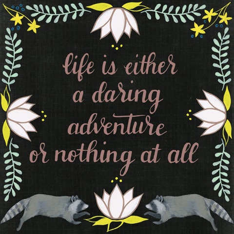 Wild Adventure Collection A