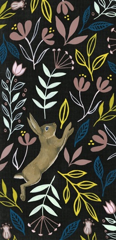 Wild Adventure Collection B