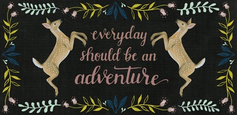 Wild Adventure Collection C