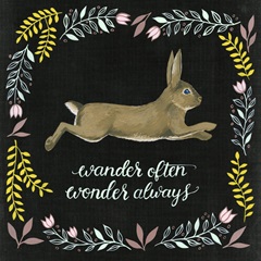 Wild Adventure Collection E