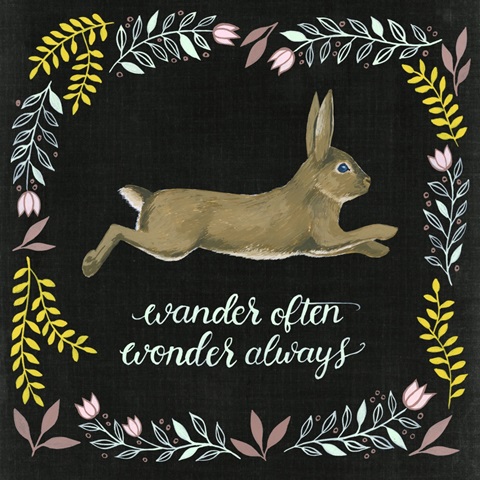 Wild Adventure Collection E