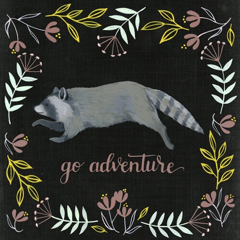 Wild Adventure Collection F