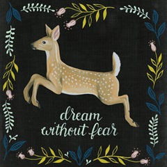 Wild Adventure Collection H