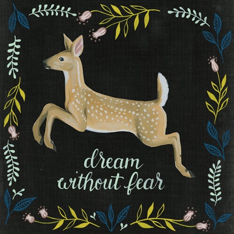 Wild Adventure Collection H