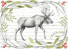 Woodland Walk Collection A