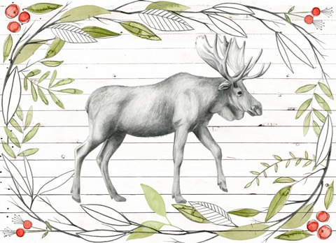 Woodland Walk Collection A