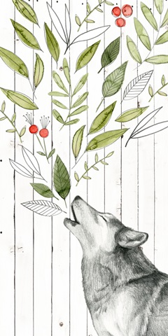 Woodland Walk Collection B