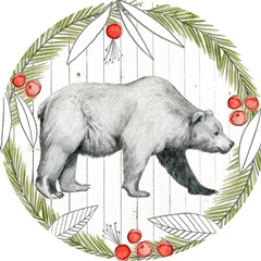 Woodland Walk Collection C