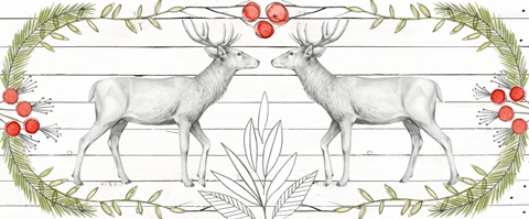 Woodland Walk Collection D