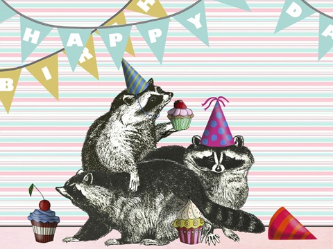 Zany Birthday Collection A