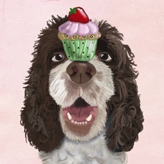 Zany Birthday Collection C