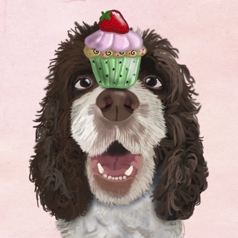 Zany Birthday Collection C