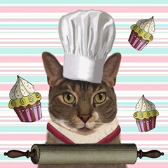 Zany Birthday Collection D