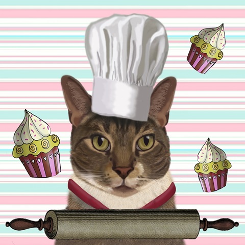 Zany Birthday Collection D