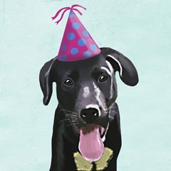 Zany Birthday Collection E