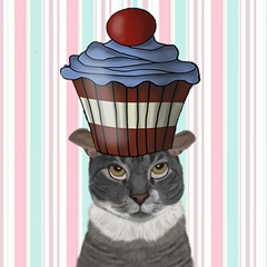 Zany Birthday Collection F