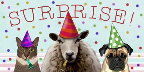 Zany Birthday Collection H