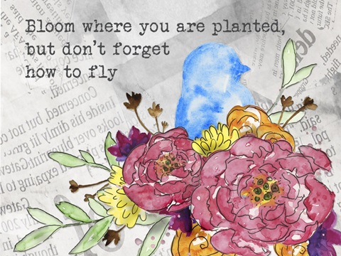 Bloom and Fly Collection A