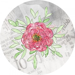 Bloom and Fly Collection C