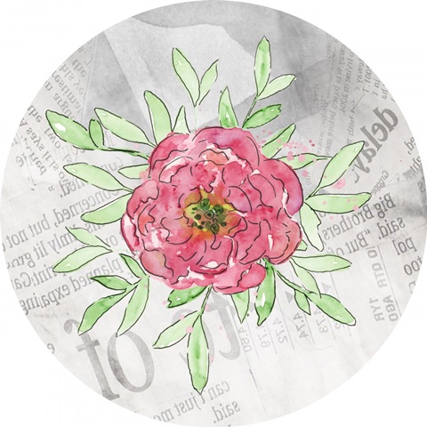 Bloom and Fly Collection C