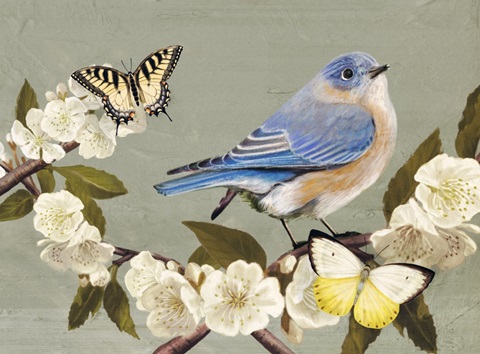 Bluebird Branch Collection A