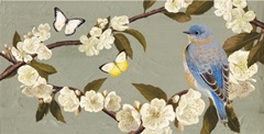 Bluebird Branch Collection D