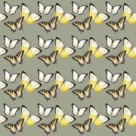 Bluebird Branch Collection F