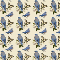 Bluebird Branch Collection G