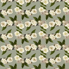 Bluebird Branch Collection H