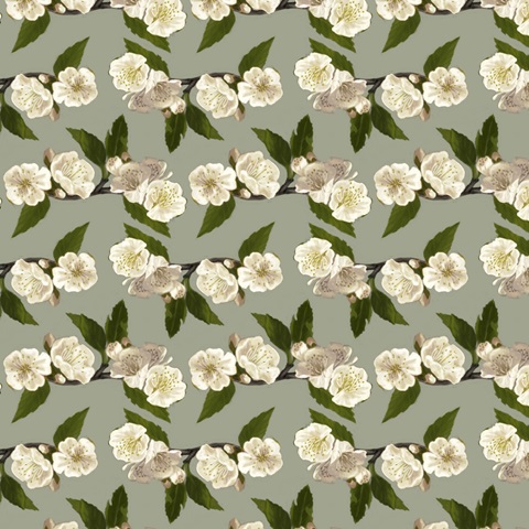 Bluebird Branch Collection H