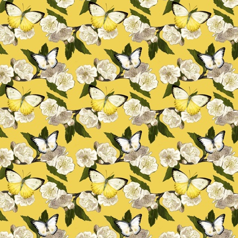 Bluebird Branch Collection I