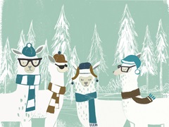 Bundle Up Llama Collection A