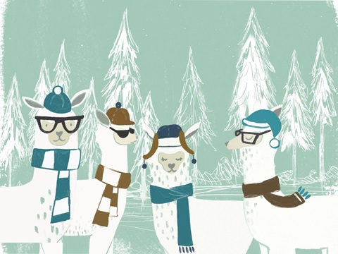 Bundle Up Llama Collection A