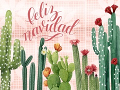 Christmas Cactus Collection A