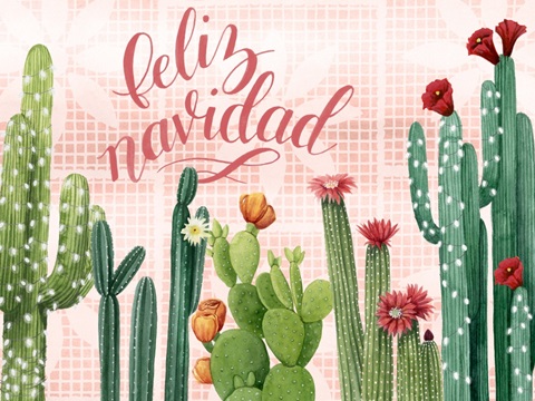 Christmas Cactus Collection A