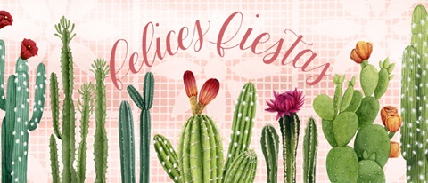 Christmas Cactus Collection D