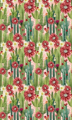 Christmas Cactus Collection E