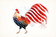 Farm Fireworks Collection A