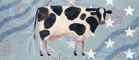 Farm Fireworks Collection D