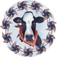 American Herd Collection C