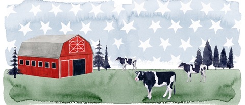 American Herd Collection D