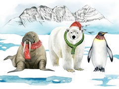 Arctic Animal Collection A