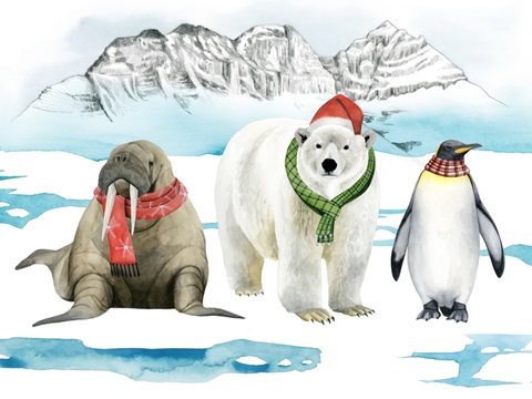 Arctic Animal Collection A