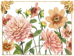 Beloved Dahlia Collection A
