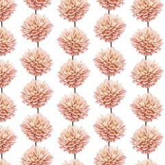 Beloved Dahlia Collection H