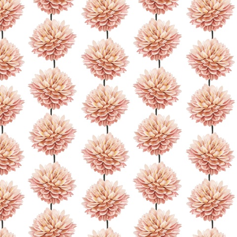 Beloved Dahlia Collection H