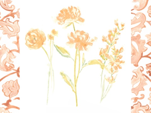 Bohemian Bouquet Collection A